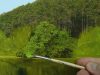 101 How To Paint Realistic Trees in 3 Easy Steps Oil Painting Tutorial