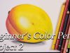 A Beginner39s Color Pencil project 2 . Blending Colors to draw a Mango
