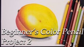 A Beginner39s Color Pencil project 2 . Blending Colors to draw a Mango