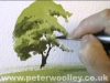 A Simple Tree Watercolour Demonstration by PETER WOOLLEY