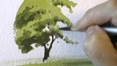 A Simple Tree Watercolour Demonstration by PETER WOOLLEY