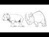 Draw an animal in cartoon and realistic style TUTPAD Course Introduction