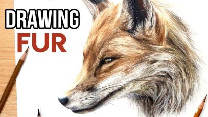 How to Draw Realistic Fur with Coloured Pencils Drawing Tutorial