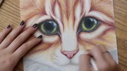 Kitty Cat with Big Eyes Colored Pencil Drawing Full Version
