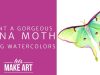 Paint a Luna Moth with Watercolors Easy Painting Project