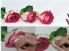 Tips on how to draw a rose in colored pencil w Lachri