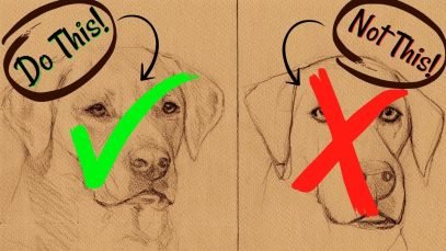 Sketching Animals How to Draw a Realistic Dog