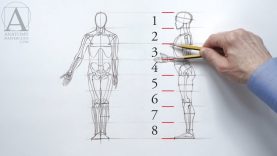 Human Figure Proportions Anatomy Master Class