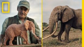 Join This Man on a Safari to Sculpt Animals in the Wild Short Film Showcase