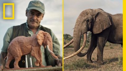 Join This Man on a Safari to Sculpt Animals in the Wild Short Film Showcase