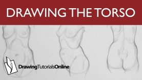 60 Minute Figure Drawing The Torso