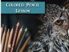 How to draw a realistic owl in colored pencil Lachri