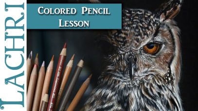 How to draw a realistic owl in colored pencil Lachri