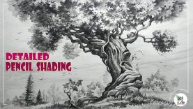 Learn How to Sketch and Shade A Detailed Tree with Pencil Easy Pencil Art