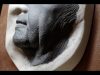 Sculpting Prosthetics Skin Textures