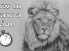 How to Draw a Lion in Pencil Time Lapse Drawing Tutorial