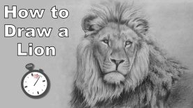 How to Draw a Lion in Pencil Time Lapse Drawing Tutorial