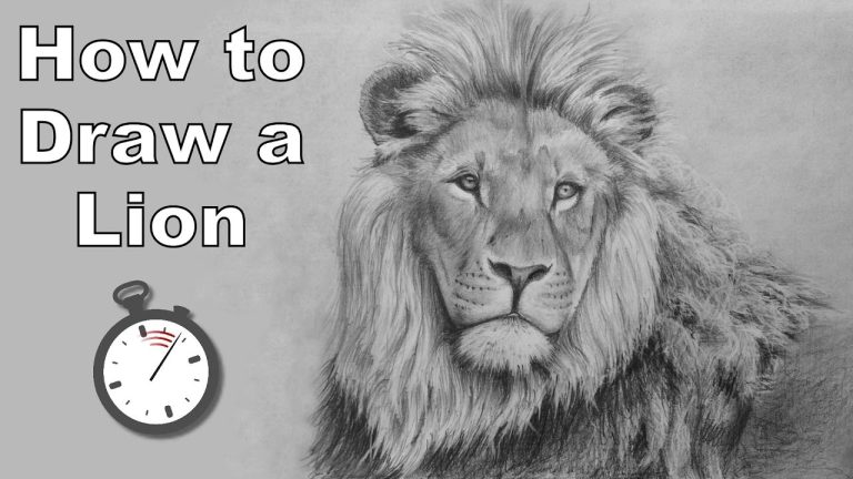 Learn to Draw - How to Draw - Pencil Drawing Basics - PaintingTube