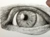 How to Draw a Realistic Eye Graphite Pencil Tutorial