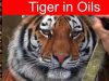 Painting a Tiger in oils How to paint animals Jason Morgan wildlife art