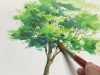 Eng sub Watercolor Tree Painting easy tutorial 1
