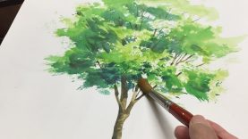 Eng sub Watercolor Tree Painting easy tutorial 1