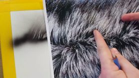 The Airbrush Academy Guide to Airbrushing Realistic Fur