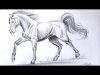 How to draw a Horse step by step Pencil Shading Drawing