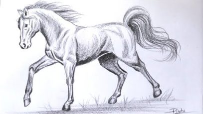 How to draw a Horse step by step Pencil Shading Drawing