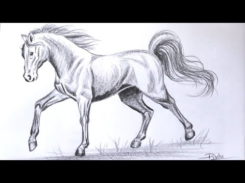From Beginner to Pro: How to Draw Horse in 11 Simple Steps