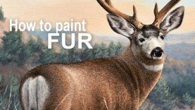 Realistic Painting Tips How to Paint FUR