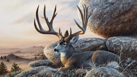 Acrylic Landscape Speed painting Mule deer at sunset