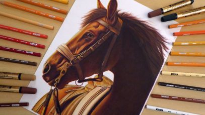 Drawing Realistic Horse