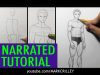 How to Draw Male Body Proportions Narrated Tutorial