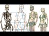 How to draw the Human Figure Body Construction tutorial