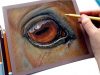 Let39s draw a realistic horse eye Pastel Pencils
