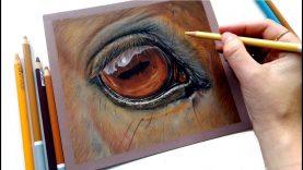 Let39s draw a realistic horse eye Pastel Pencils