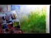 Painting Grass in watercolor on 140 lb watercolor paper