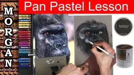 Pan Pastel Pastel Pencil Lesson Tips wildlife art