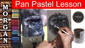 Learn How to Draw Fur with Pastel Pencils - wildlife art - Jason Morgan -  PaintingTube