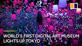 World’s first digital art museum lights up Tokyo Japan
