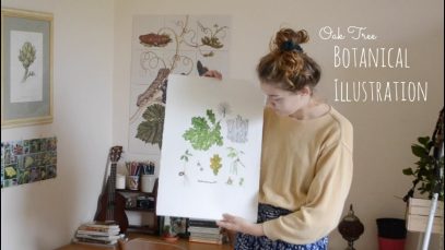 vlog Botanical Illustration • Oak Tree Part 2