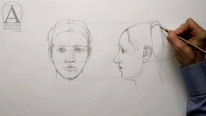 Human Head Proportions Anatomy Master Class