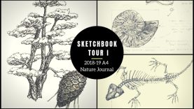 Sketchbook Tour I A4 Nature Journal and Sketchbook and Stillman and Birn Zeta Review