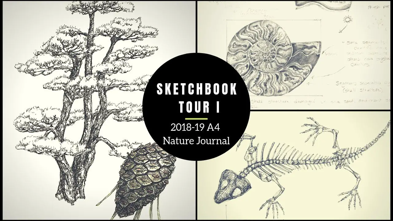 Flipping Through my Full Sketchbook #2! (tour) 