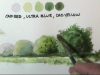 How to paint trees amp bushes in watercolor lessons by Dennis Clark