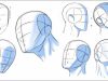 How to Draw Heads Dividing it Into Thirds