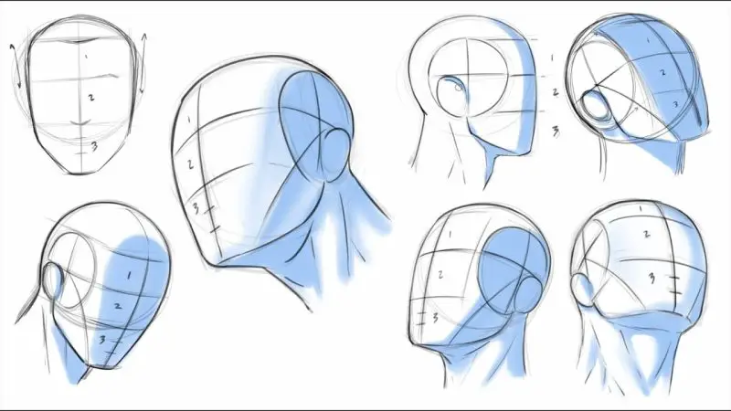 How To Draw Head - Front View Using Andrew Loomis Method - PaintingTube