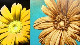 Glazing A Grisaille Underpainting Of A Gerbera Daisy Time Lapse