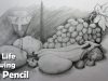 How to Draw A Still Life Fruits in Pencil Step by step